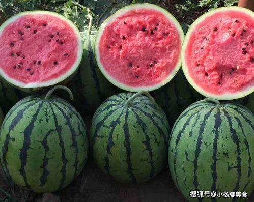 吃瓜爆料网红料不打烊,揭秘娱乐圈幕后故事  第3张