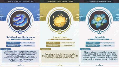草神爆料视频,神秘力量觉醒,奇幻世界即将展开 第2张 草神爆料视频,神秘力量觉醒,奇幻世界即将展开 第2张